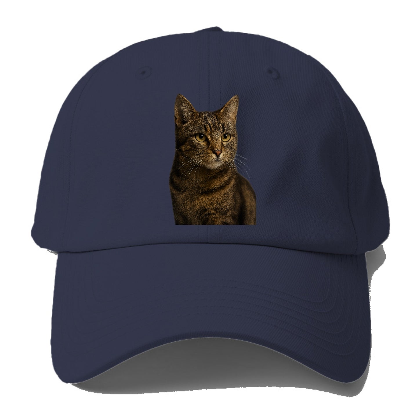 barn-cat-rustic-charm Hat
