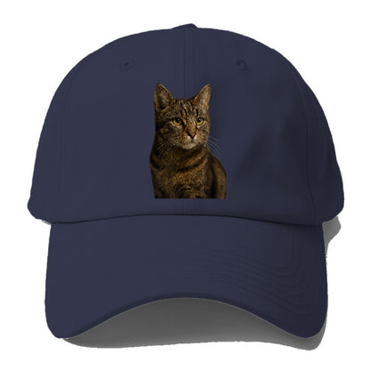 barn-cat-rustic-charm Hat