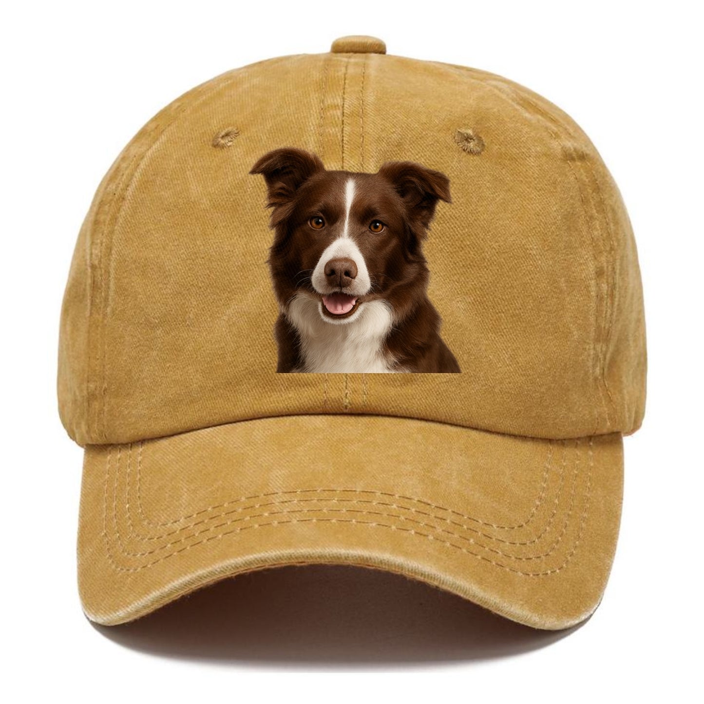 chocolate border collie: sweet & smart devotion Hat