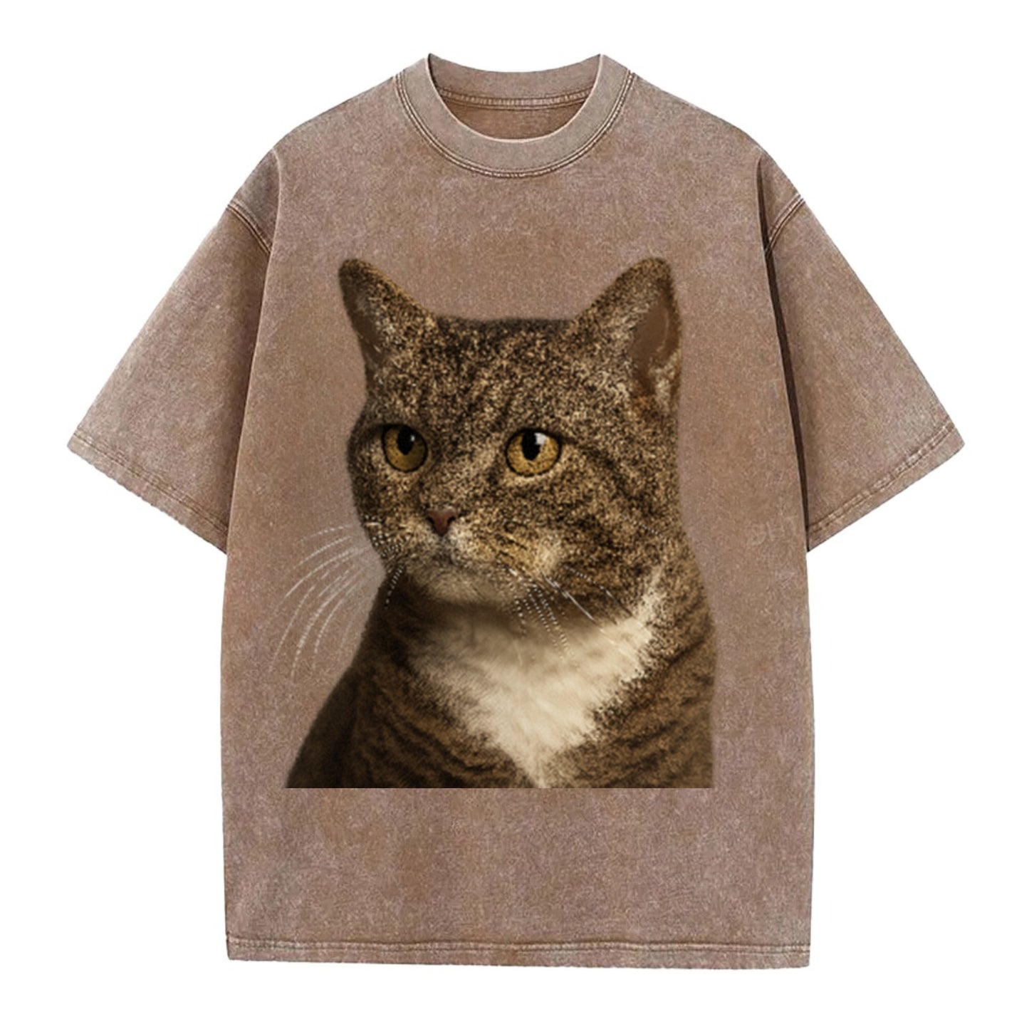 american-wirehair-unique-charm Hat