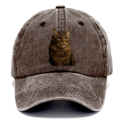 regal-cymric-charm Hat