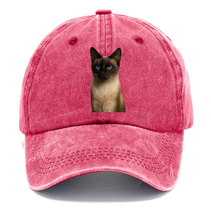 seal-point-siamese-mystical-charm Hat