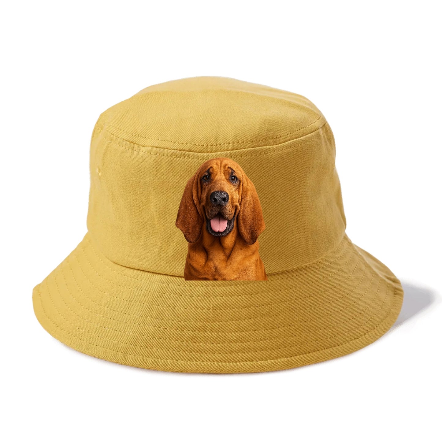 bloodhound: scent of nobility Hat