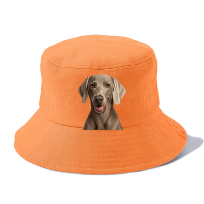 weimaraner portrait design Hat
