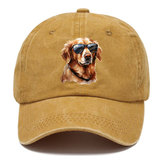 golden retriever in sun glasses Hat