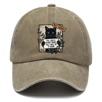 Not Sorry  I DID IT Cat  Classic Cap