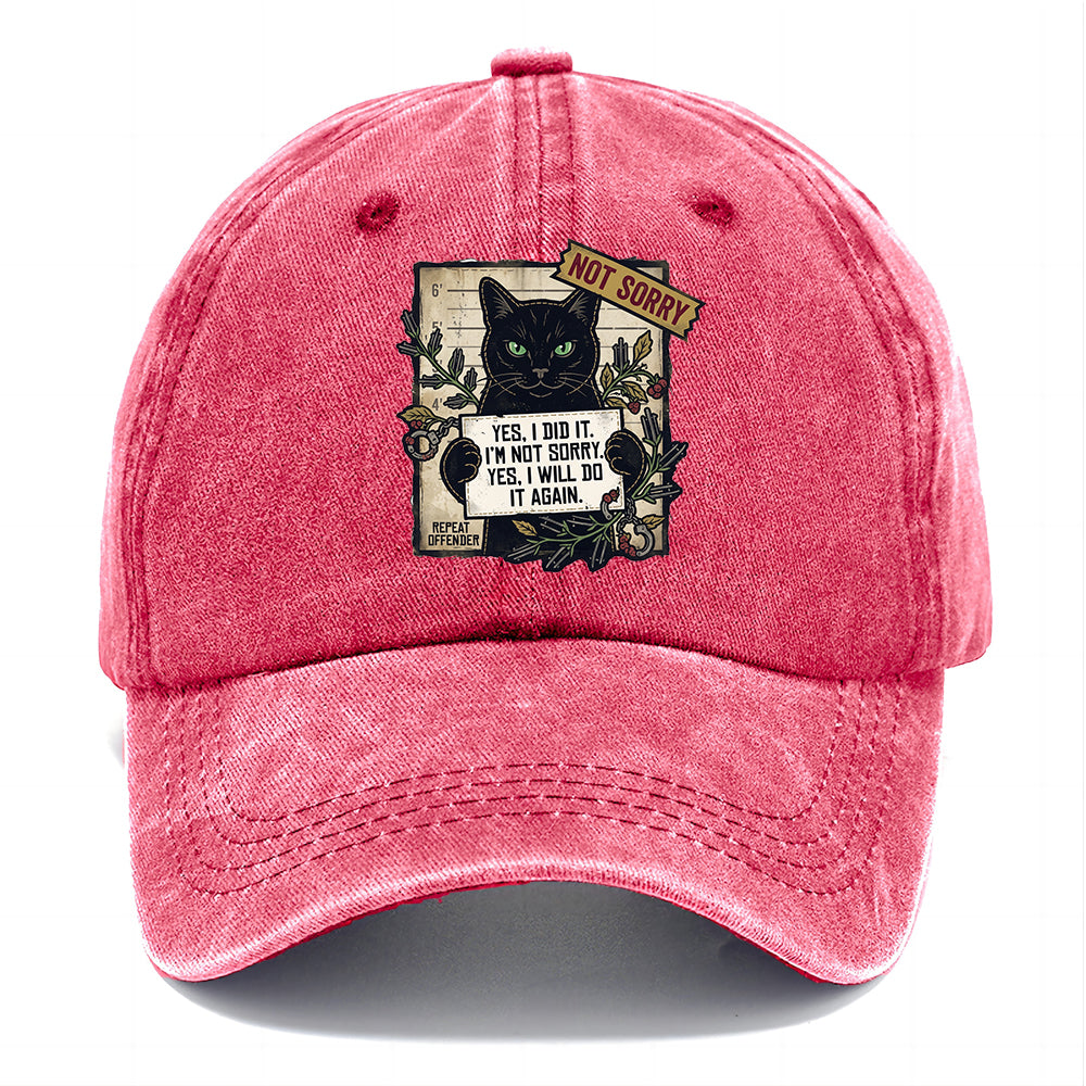 Not Sorry  I DID IT Cat  Classic Cap