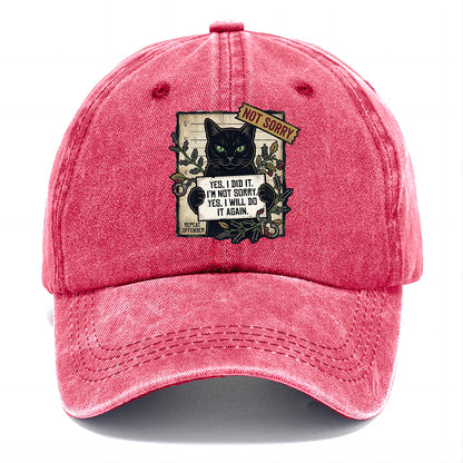 Not Sorry  I DID IT Cat  Classic Cap