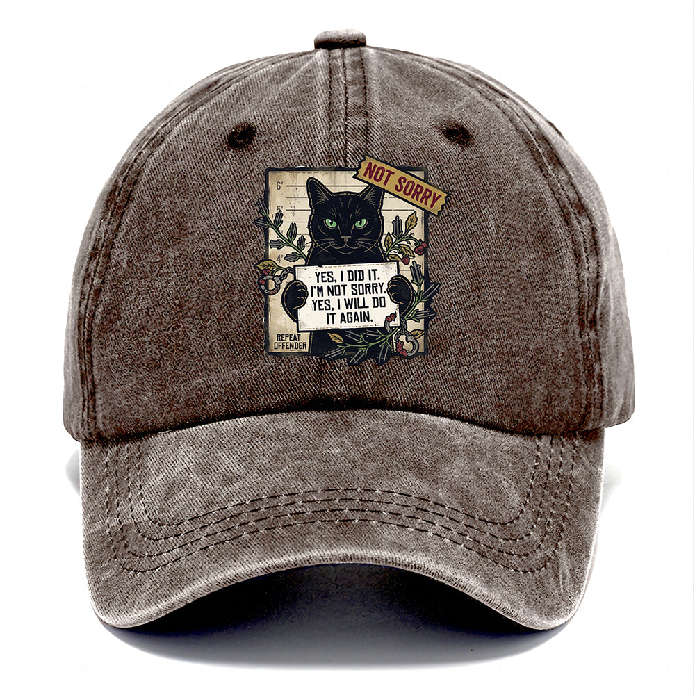 Not Sorry  I DID IT Cat  Classic Cap