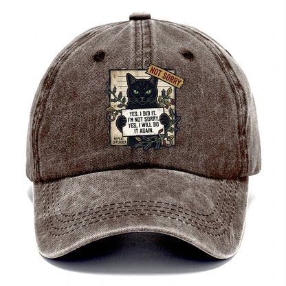 Not Sorry  I DID IT Cat  Classic Cap
