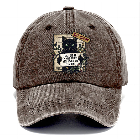 Not Sorry  I DID IT Cat  Classic Cap
