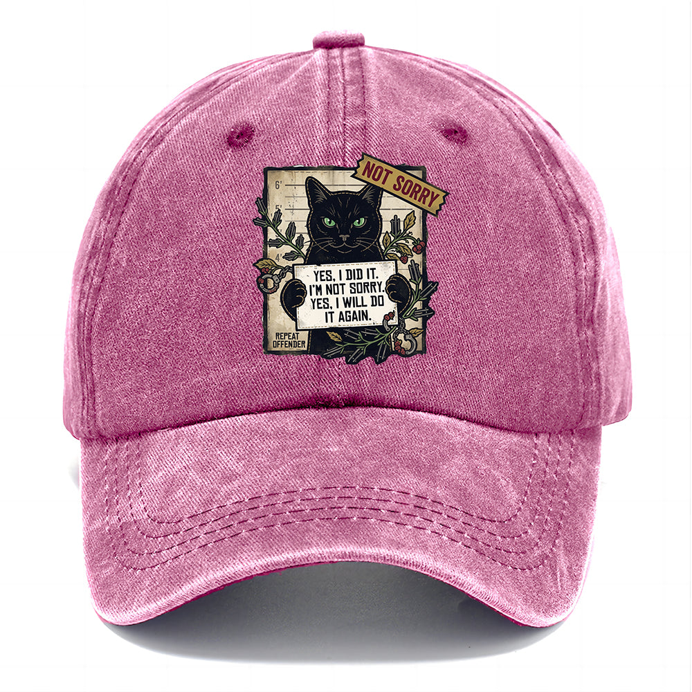 Not Sorry  I DID IT Cat  Classic Cap