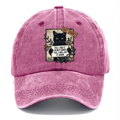 Not Sorry  I DID IT Cat  Classic Cap