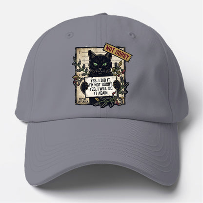 Not Sorry  I DID IT Cat  Baseball Cap