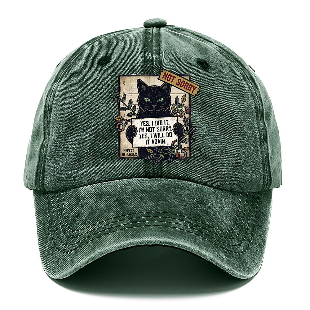 Not Sorry  I DID IT Cat  Classic Cap