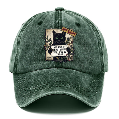 Not Sorry  I DID IT Cat  Classic Cap