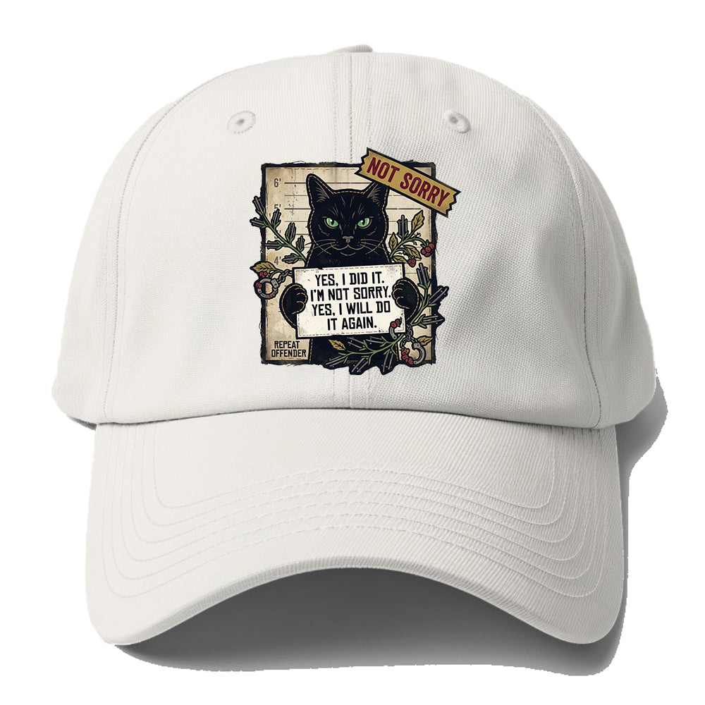 Not Sorry  I DID IT Cat  Baseball Cap