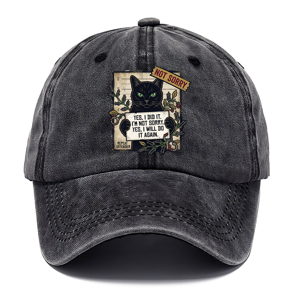 Not Sorry  I DID IT Cat  Classic Cap