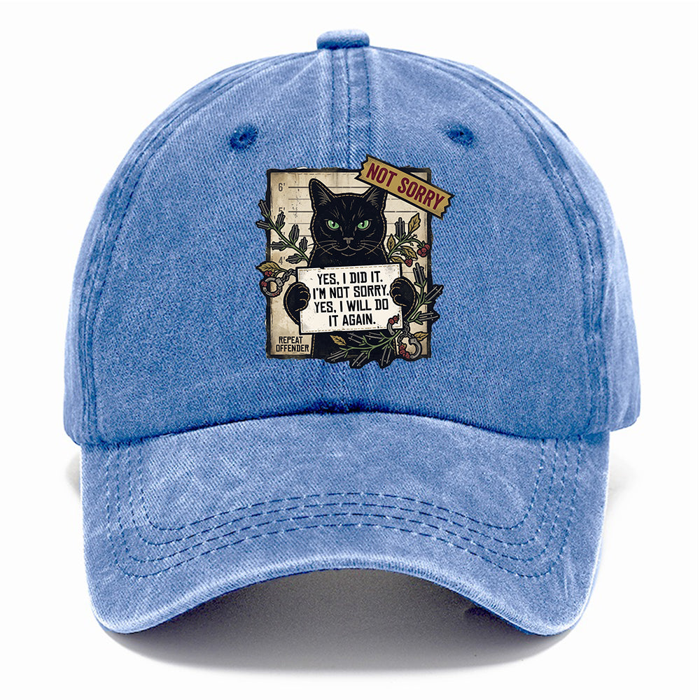 Not Sorry  I DID IT Cat  Classic Cap