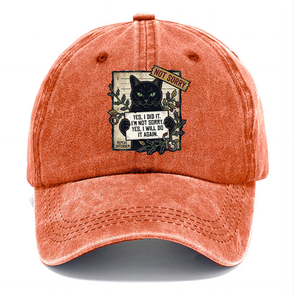 Not Sorry  I DID IT Cat  Classic Cap