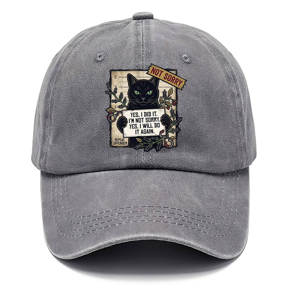 Not Sorry  I DID IT Cat  Classic Cap