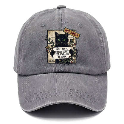 Not Sorry  I DID IT Cat  Classic Cap