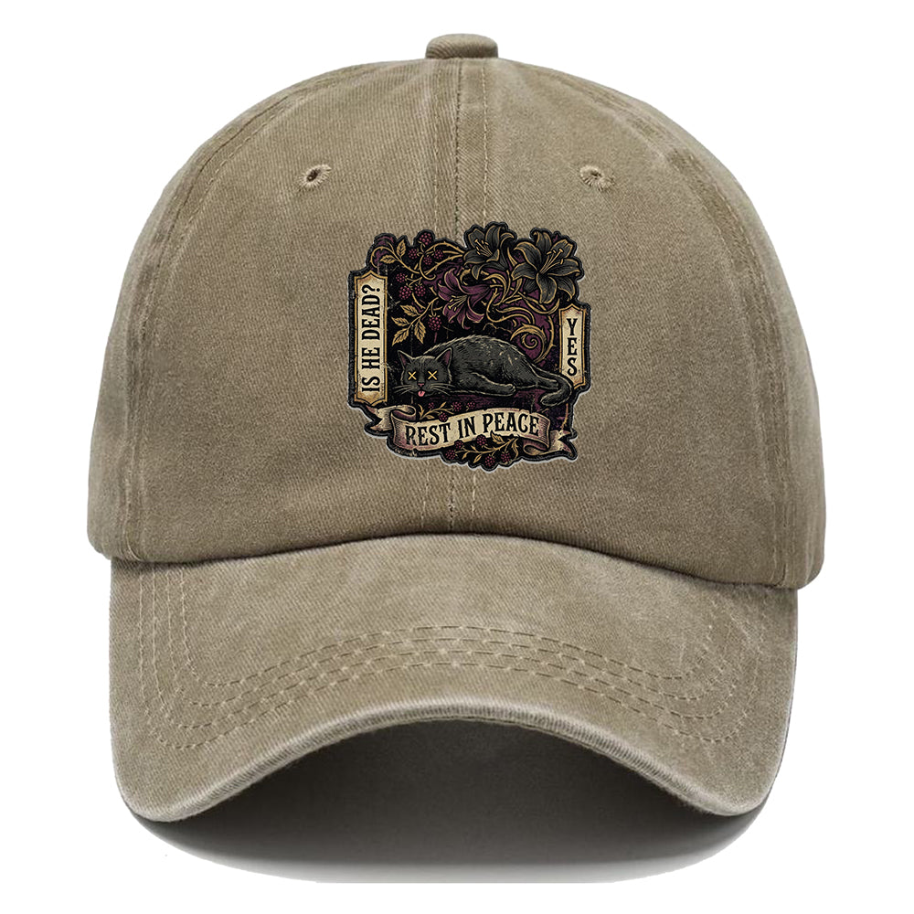 Rest In Peace Cat Classic Cap