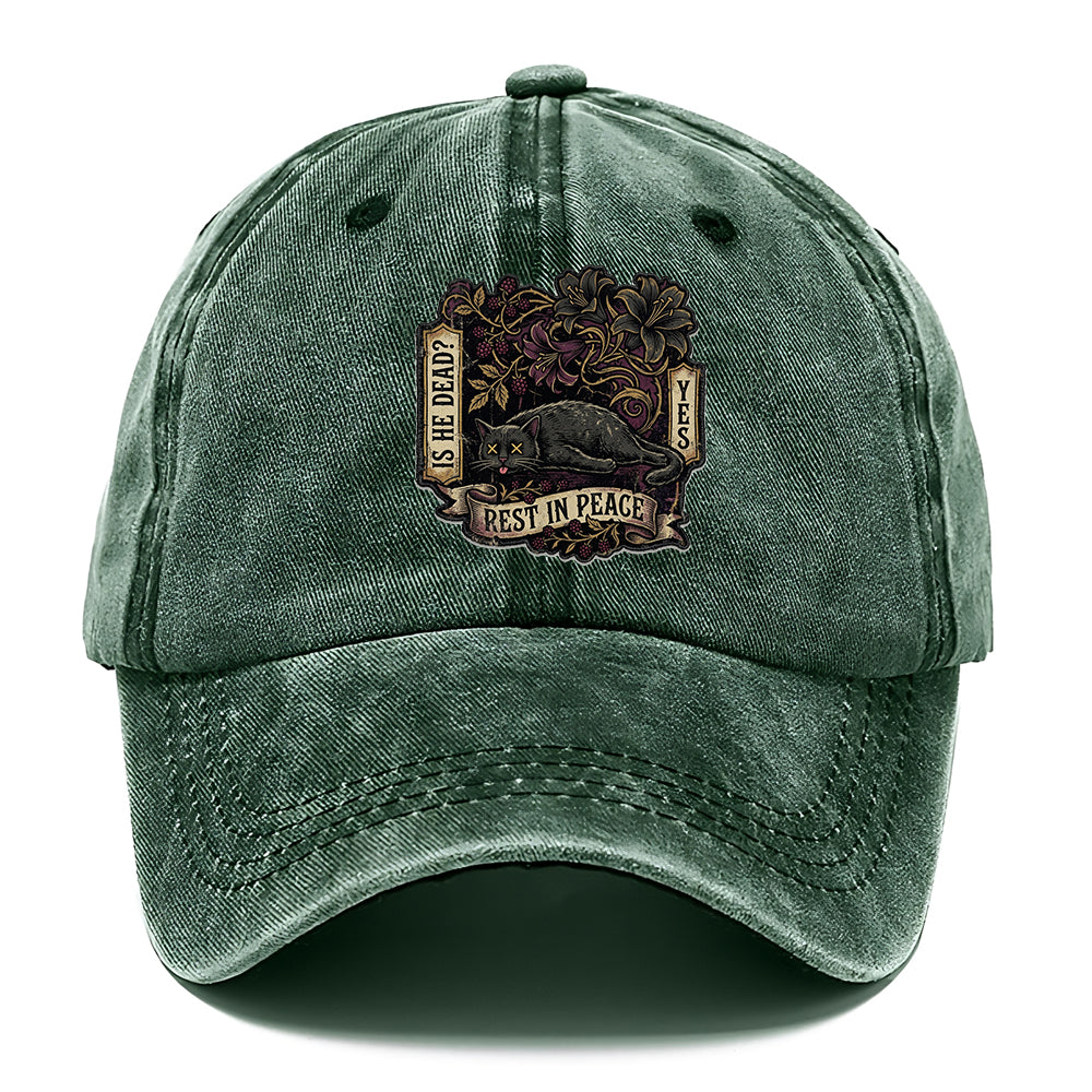 Rest In Peace Cat Classic Cap