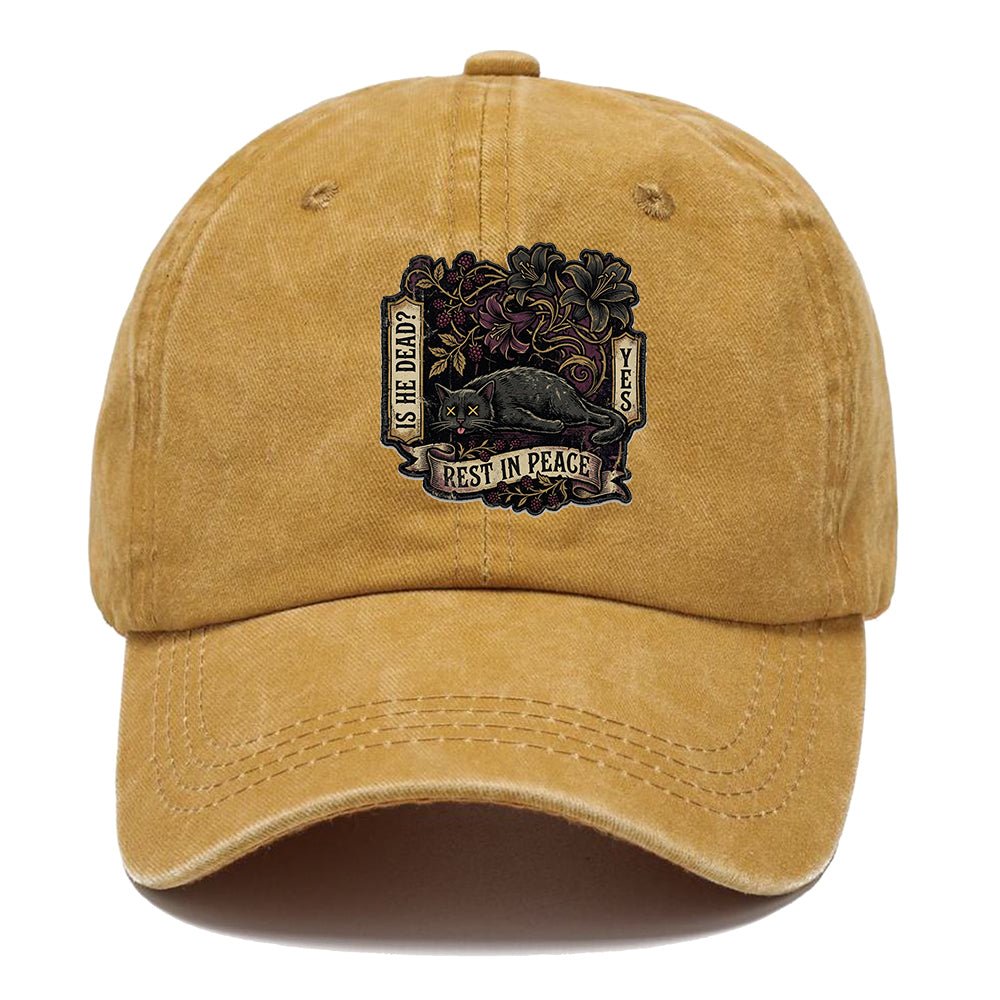 Rest In Peace Cat Classic Cap