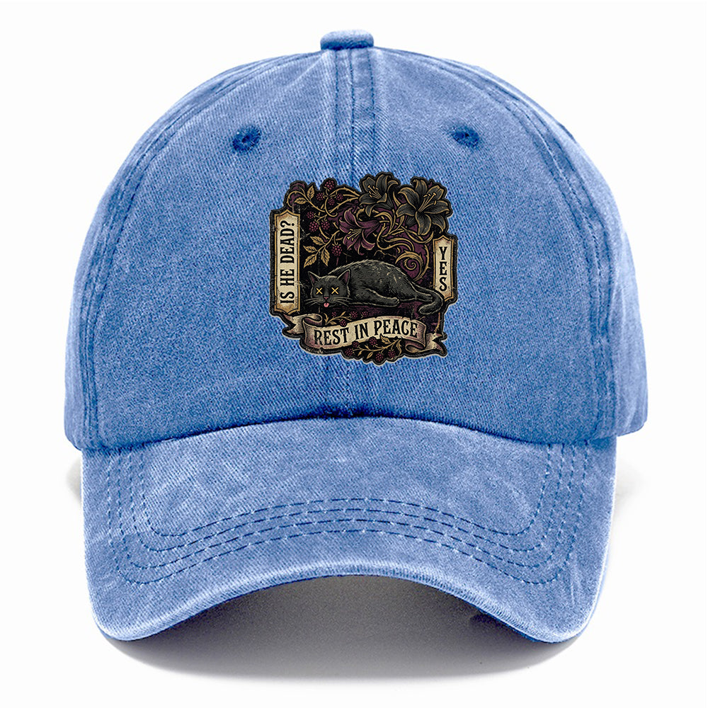 Rest In Peace Cat Classic Cap