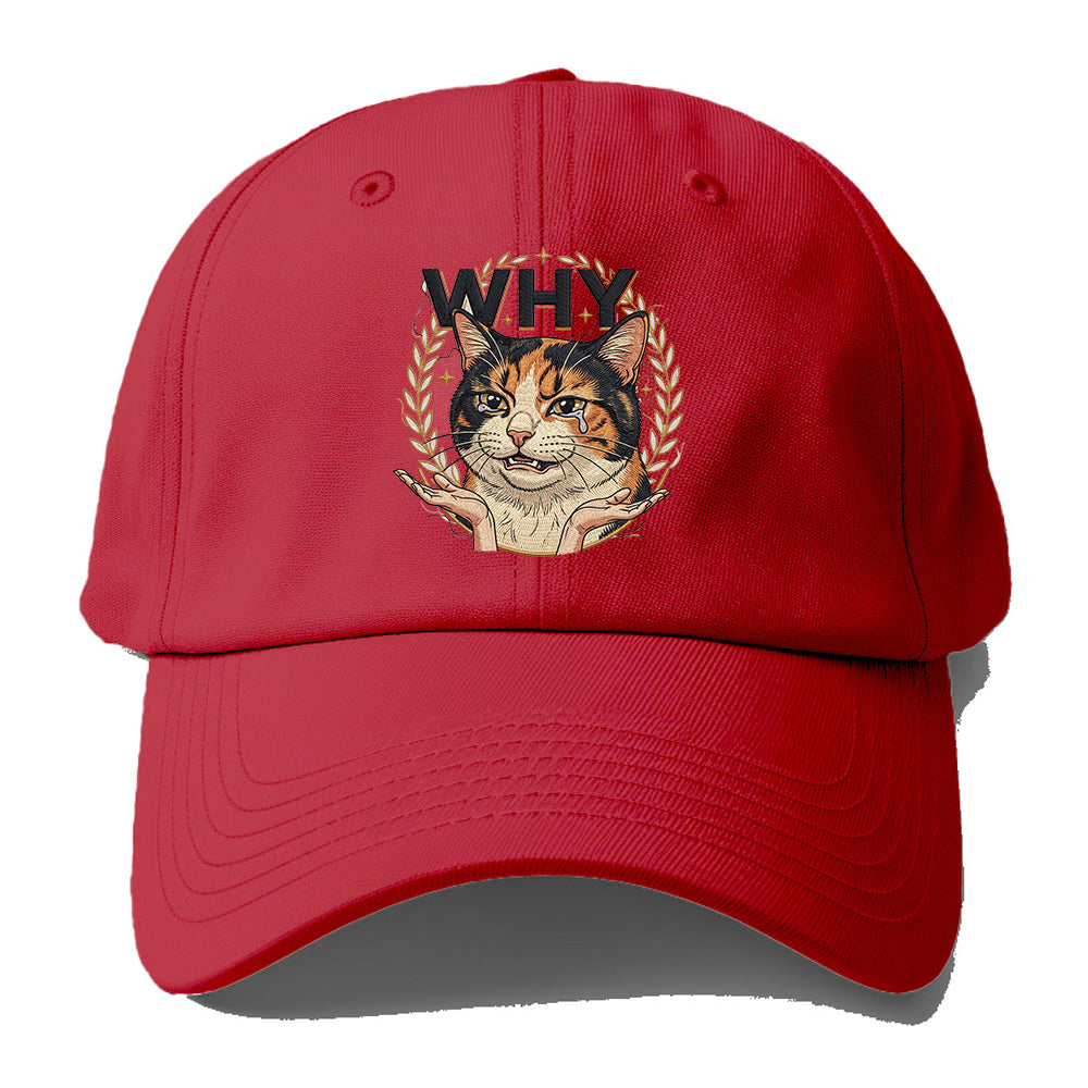 Why Crying Cat Baseball Cap