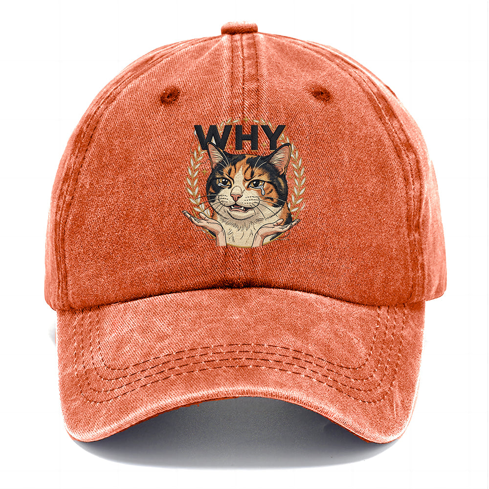 Why Crying Cat Classic Cap