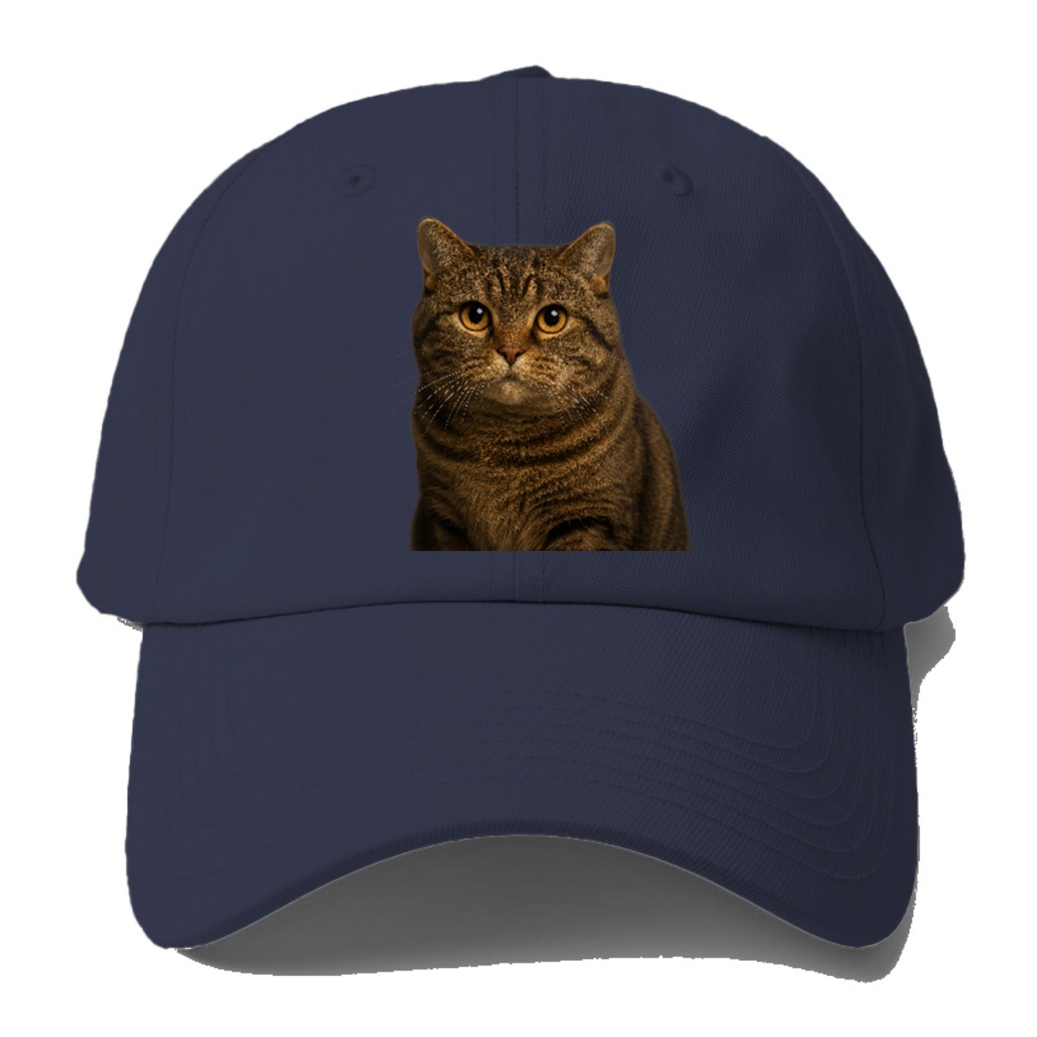 manx-cat-distinct-charm Hat