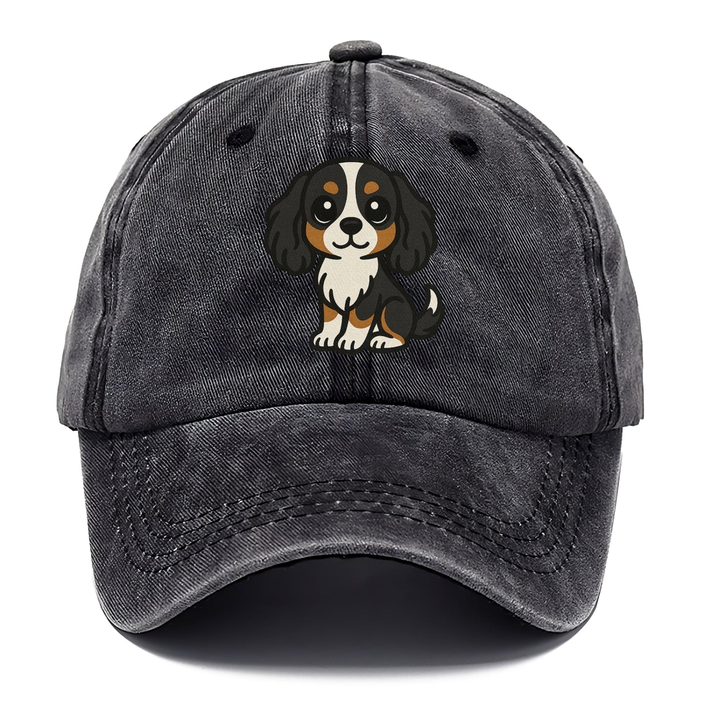 cavalier king charles spaniel tricolor sitting pose portrait design Hat
