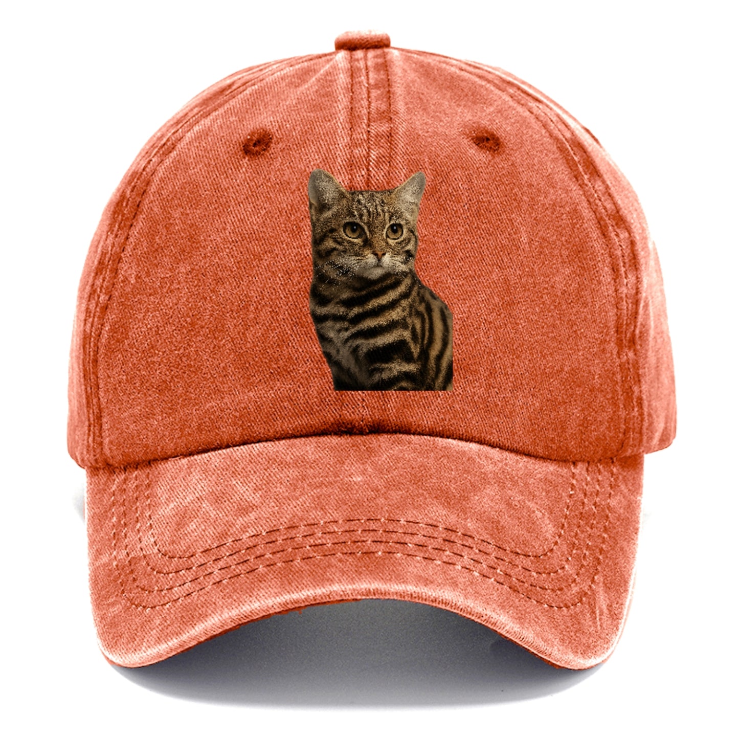 blackfooted-cat-elusive-hunter Hat