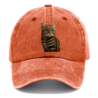 blackfooted-cat-elusive-hunter Hat