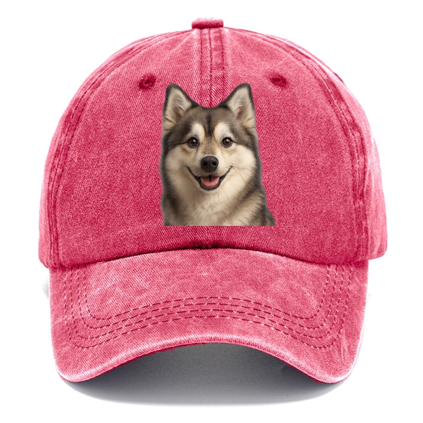 pomsky portrait design Hat