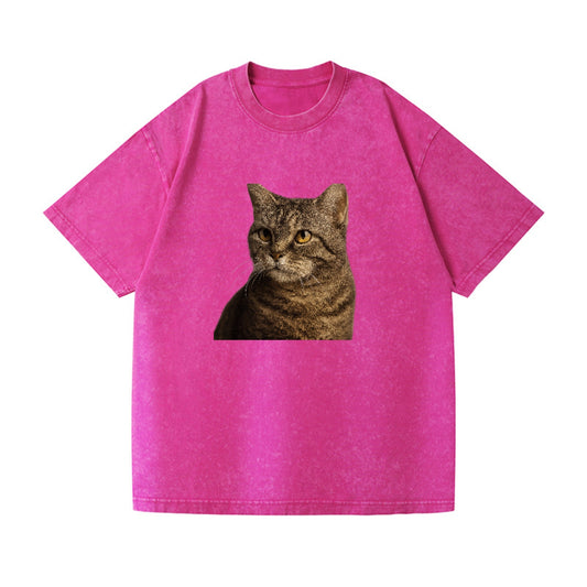 american-wirehair-unique-texture Hat