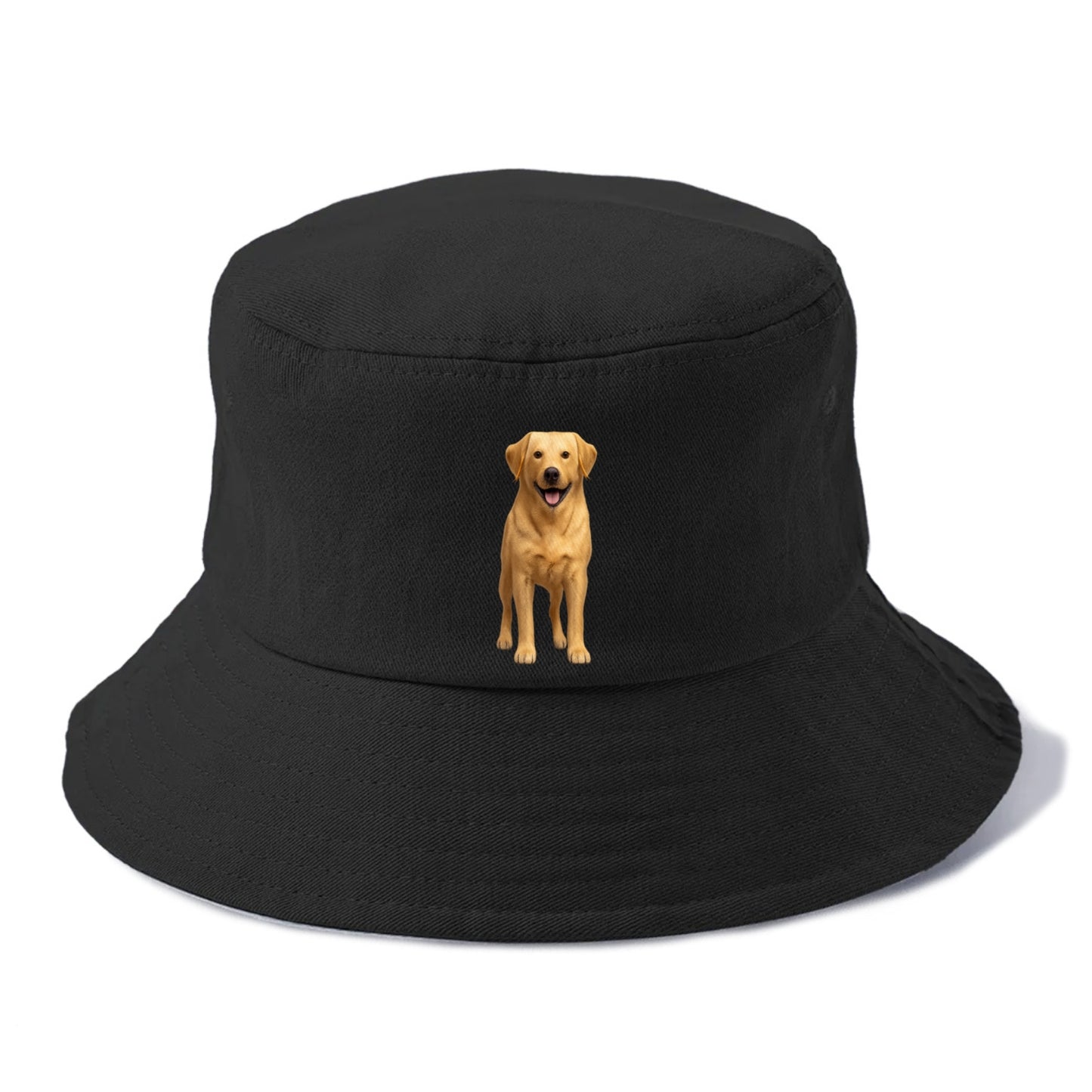 happy golden labrador retriever portrait Hat