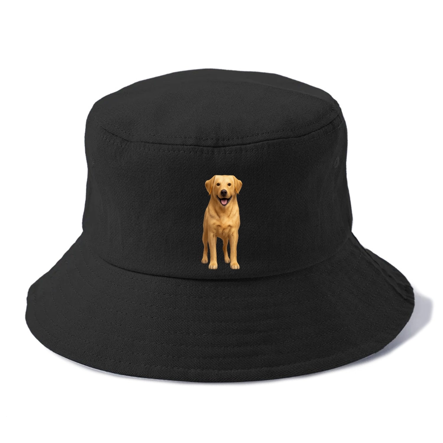 happy golden labrador retriever portrait Hat
