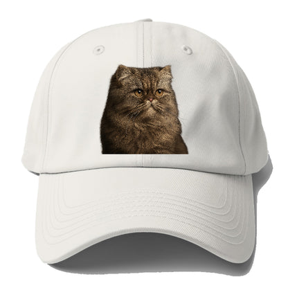 persian-regal-majesty Hat