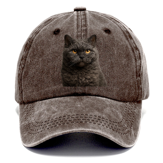 selkirk-rex-curly-charm Hat