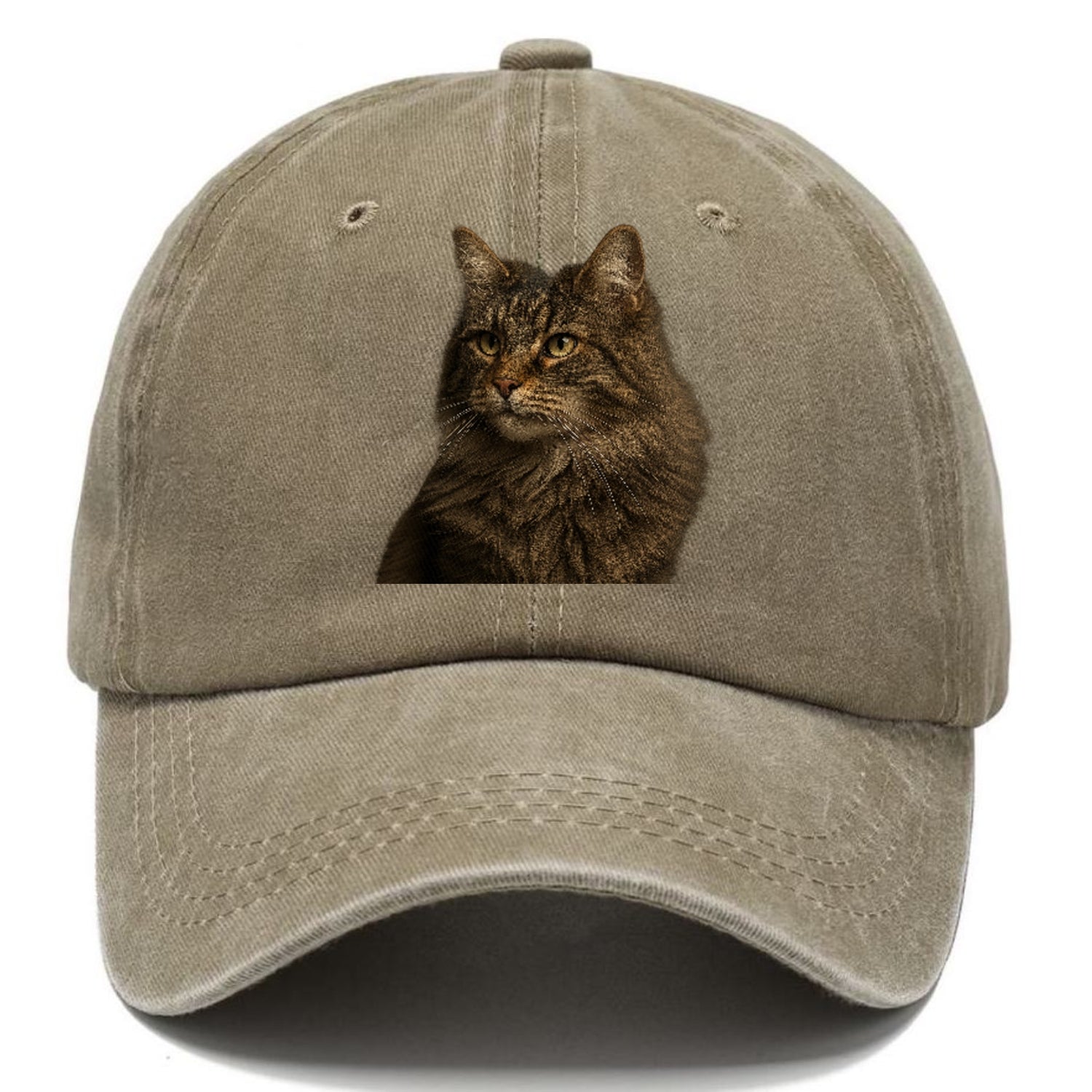 norwegian-forest-cat-wild-majesty Hat