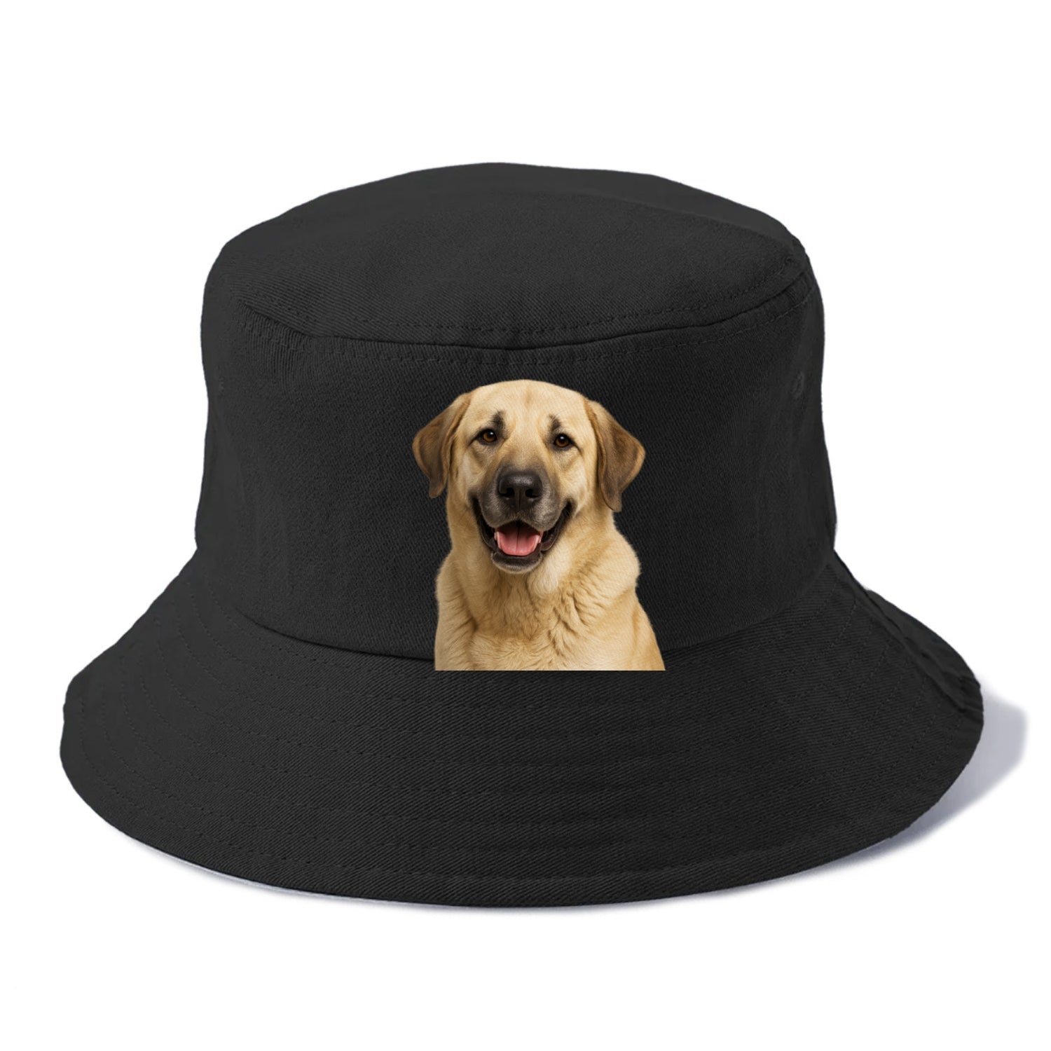 anatolian shepherd: noble protector's pride Hat