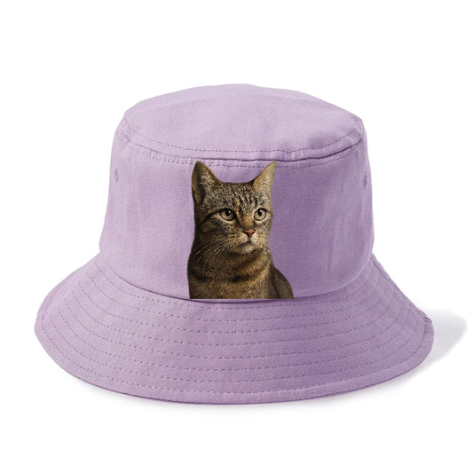 stray-cat-resilient-spirit Hat
