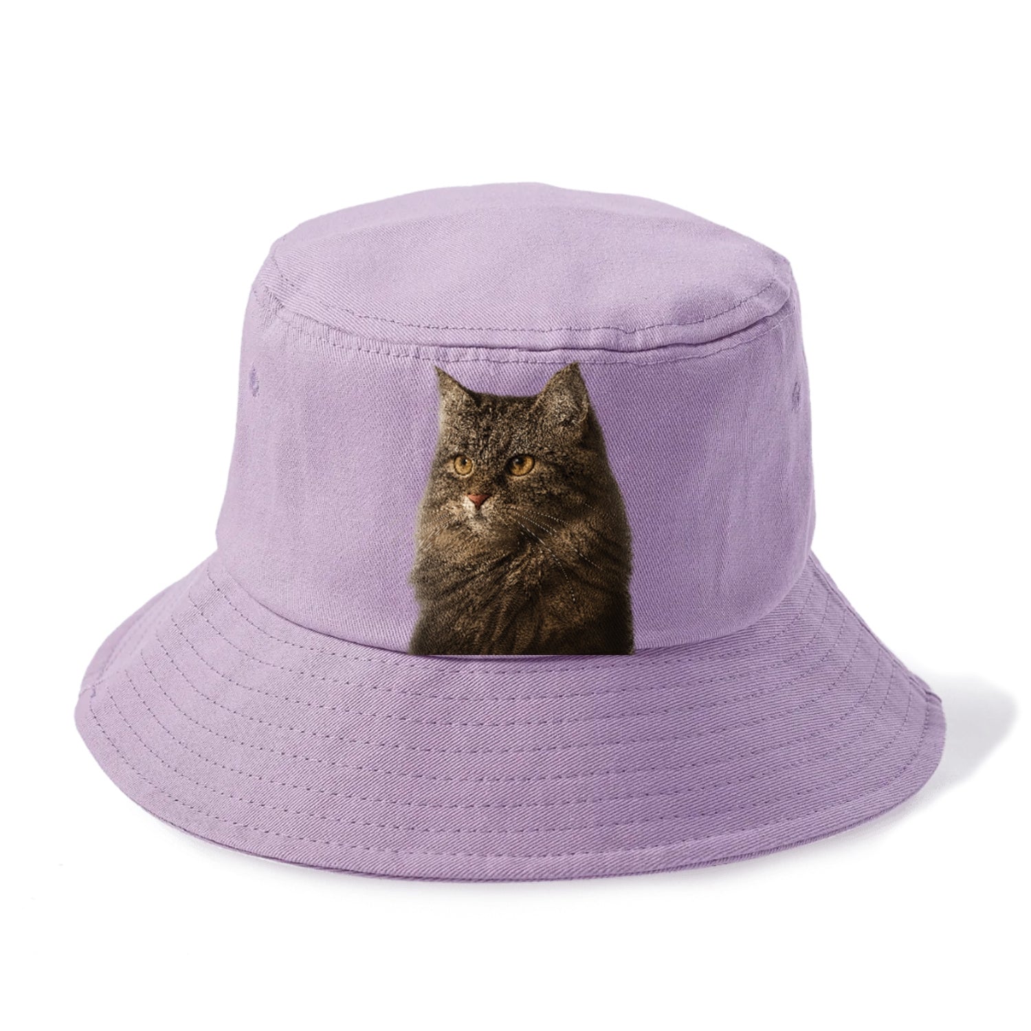 domestic-longhair-graceful-charm Hat