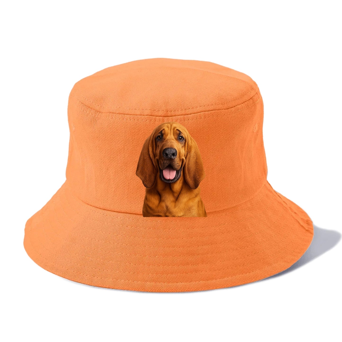 bloodhound: scent of nobility Hat