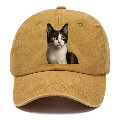 japanese-bobtail-playful-charm Hat
