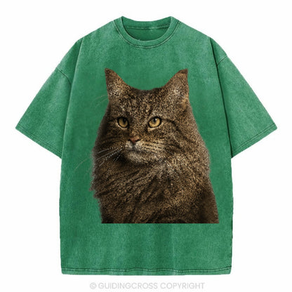 norwegian-forest-cat-wilderness-spirit Hat