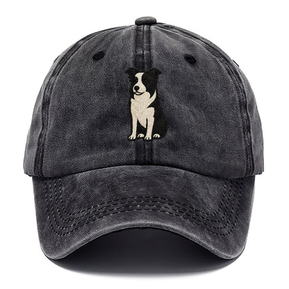 border-collie-intense-focus Hat